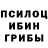 Галлюциногенные грибы мицелий Djina. Kraus