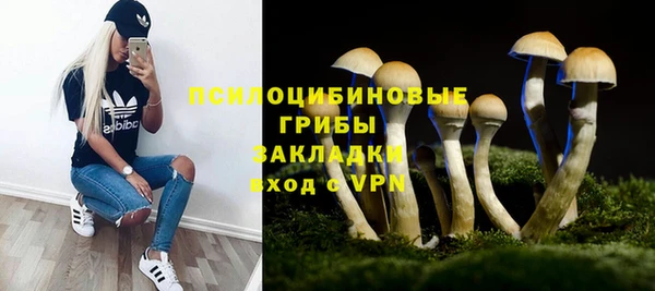 индика Алексин