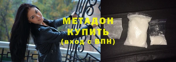 индика Алексин