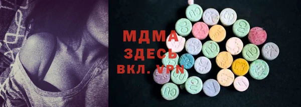 индика Алексин