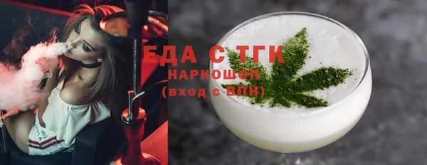 индика Алексин