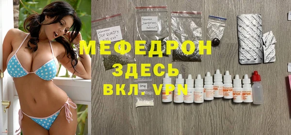 индика Алексин