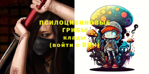 дживик Алзамай