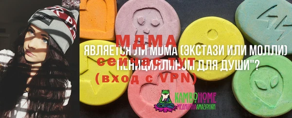индика Алексин