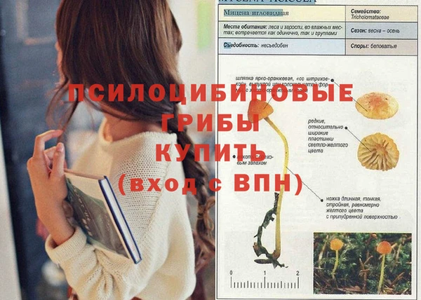 индика Алексин