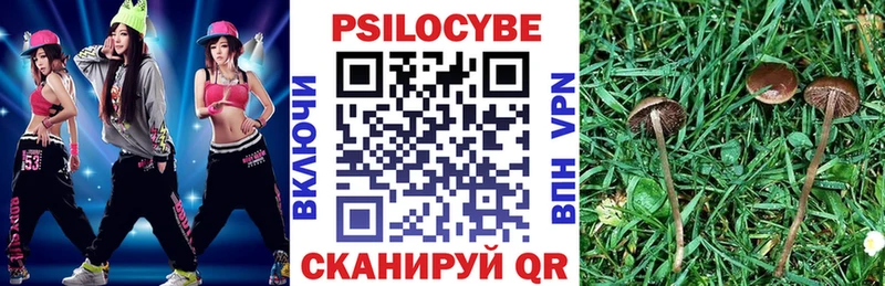 цены   Чусовой  Псилоцибиновые грибы Cubensis 